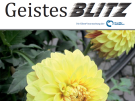 Ausgabe 9 der Geistesblitz