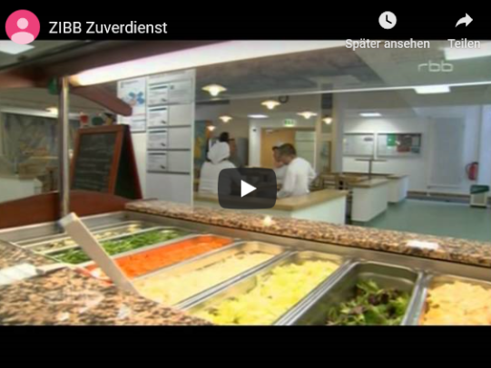 "Zuverdienst" in ZIBB
